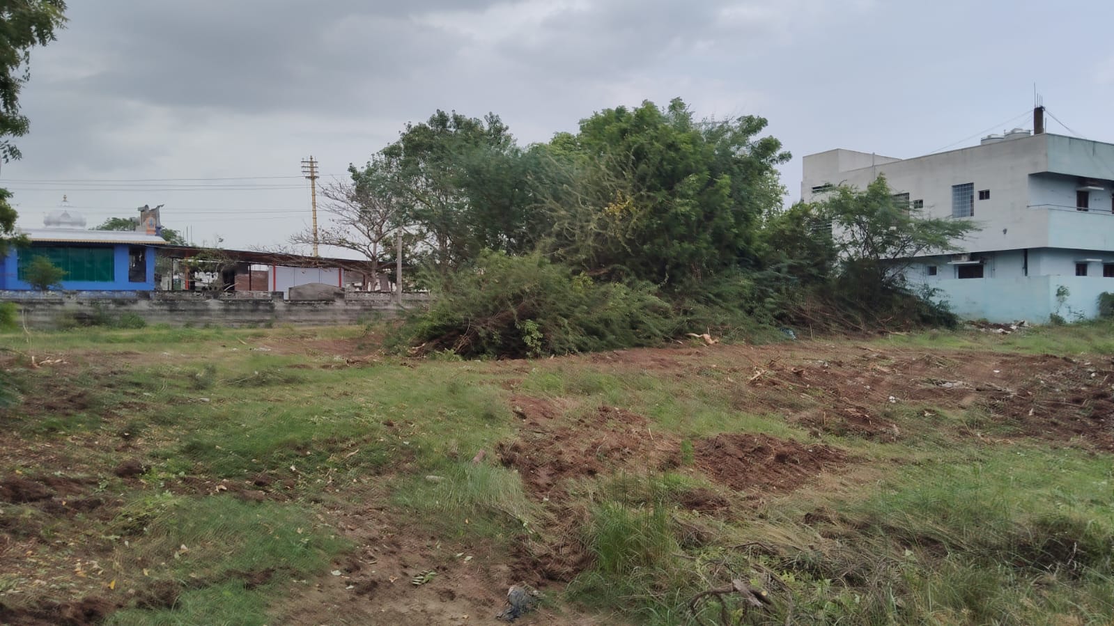 Plot 172 After Cleanup